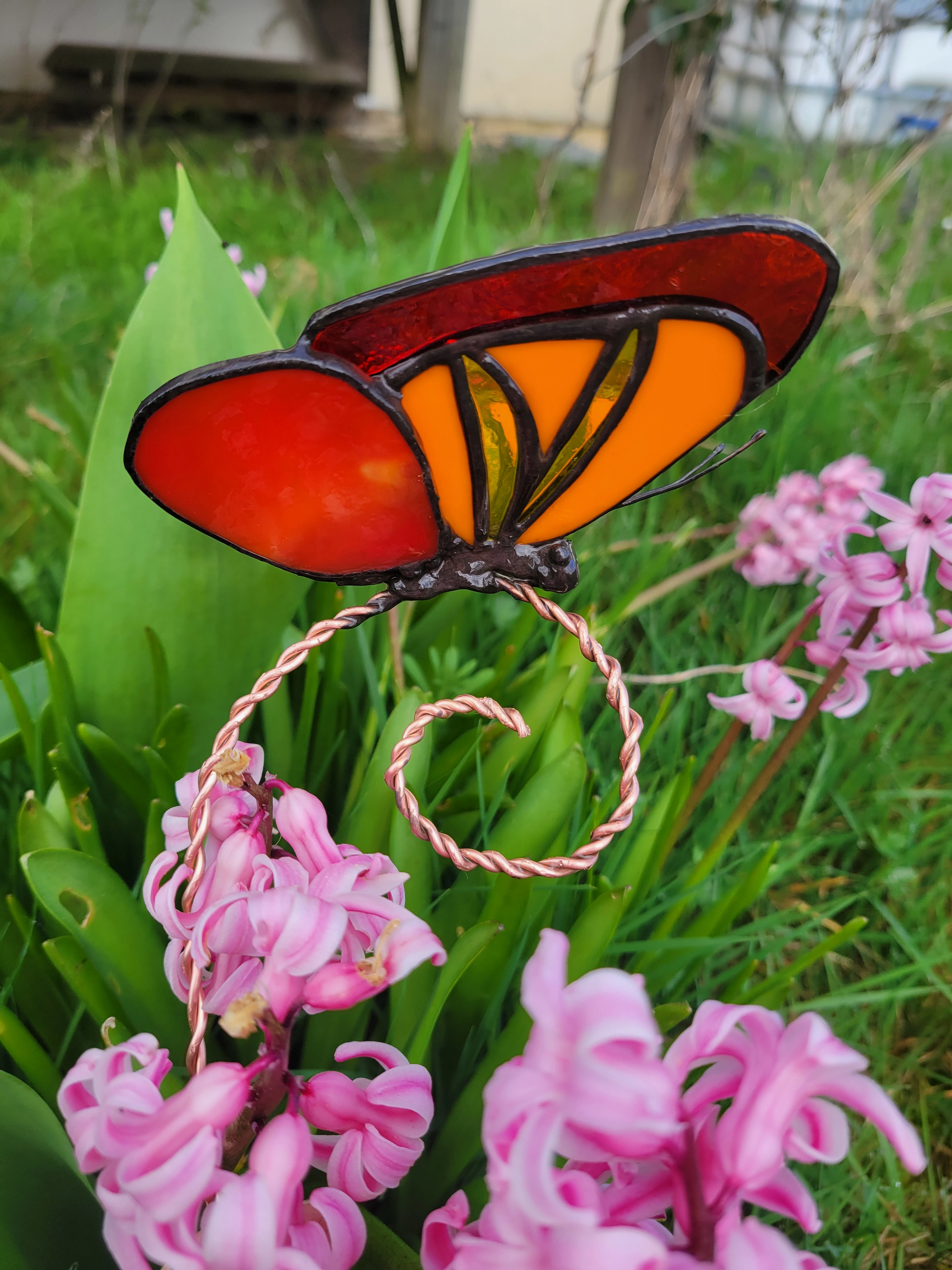 Papillon