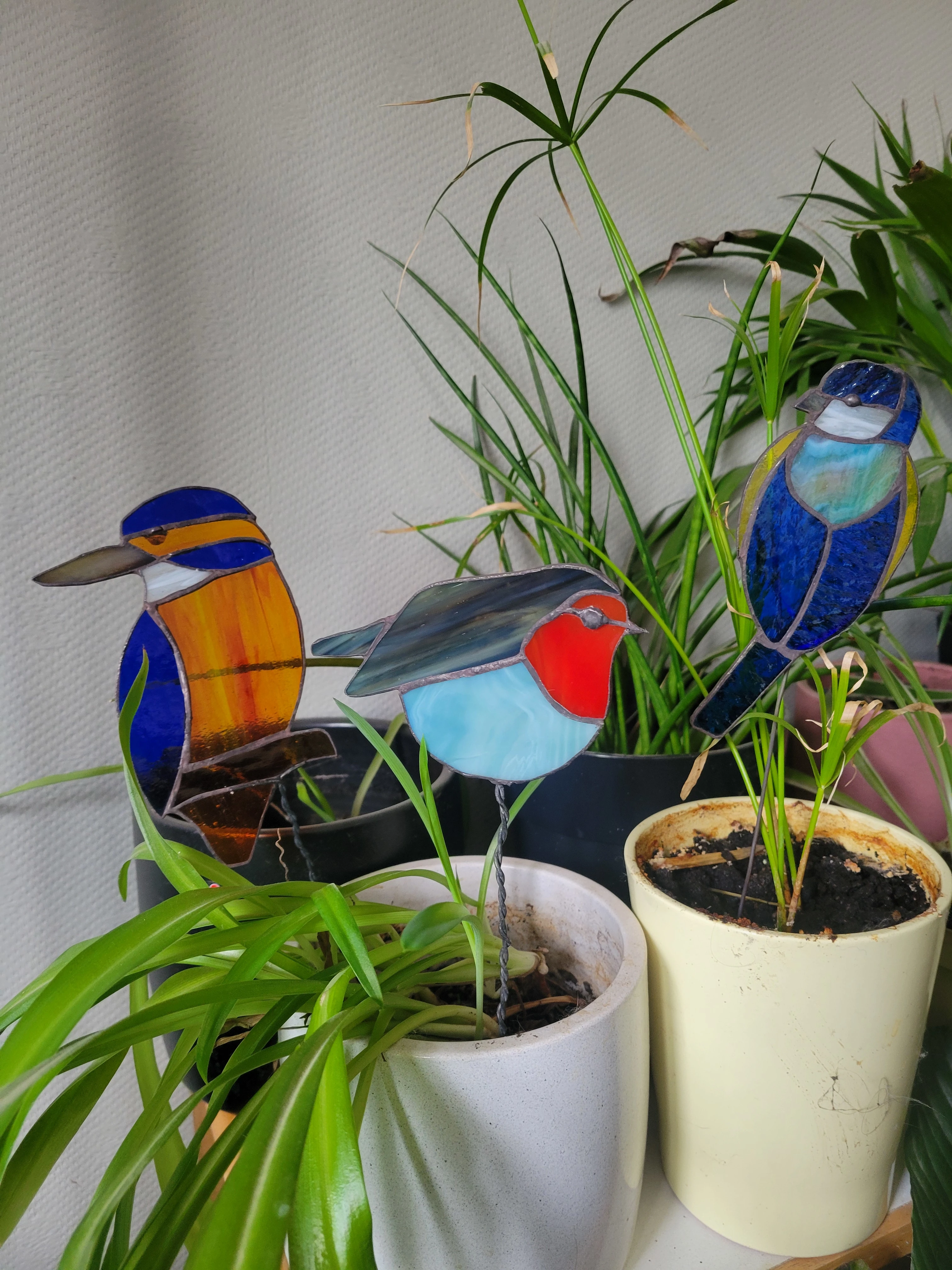 Oiseaux